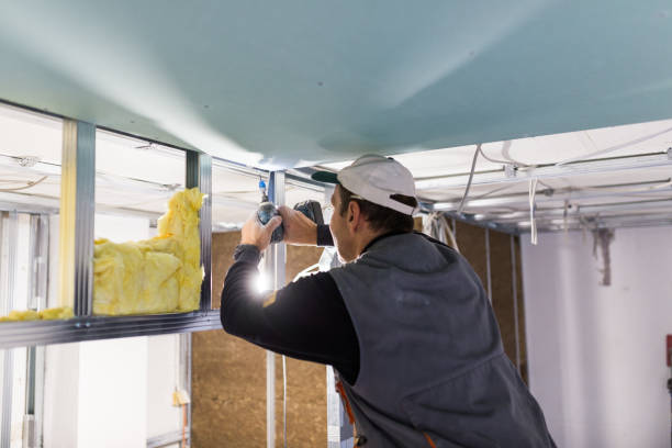 Best Residential Insulation Services  in Weaverville, NC