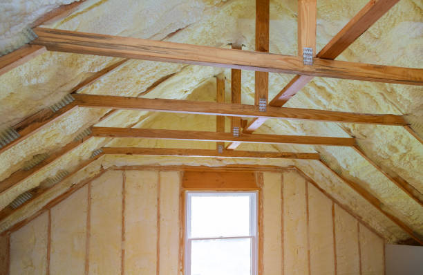 Best Insulation Repair Services  in Weaverville, NC