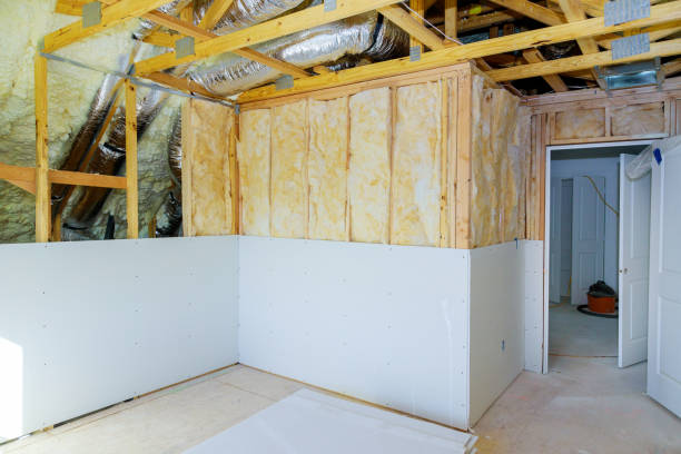 Best Professional Insulation Contractor  in Weaverville, NC