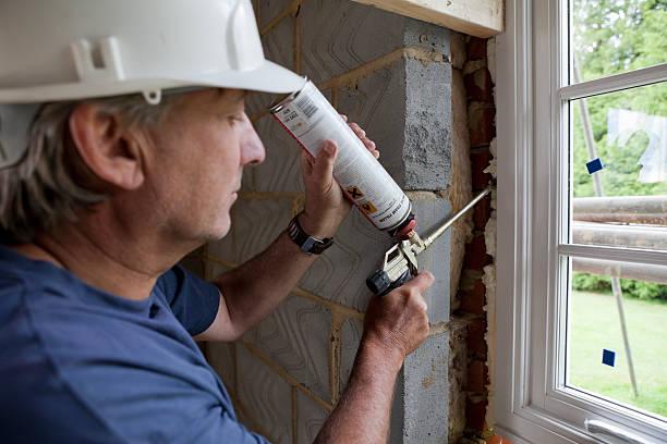 Best Insulation Removal  in Weaverville, NC