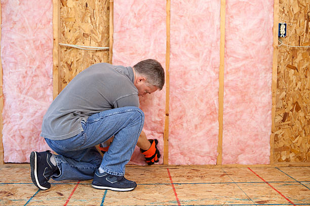 Best Insulation Replacement Services  in Weaverville, NC