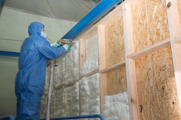 Best Insulation Contractors for Homes  in Weaverville, NC