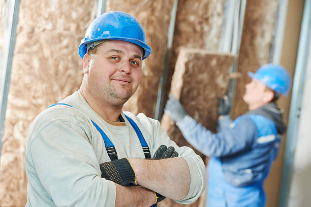 Best Local Insulation Services  in Weaverville, NC