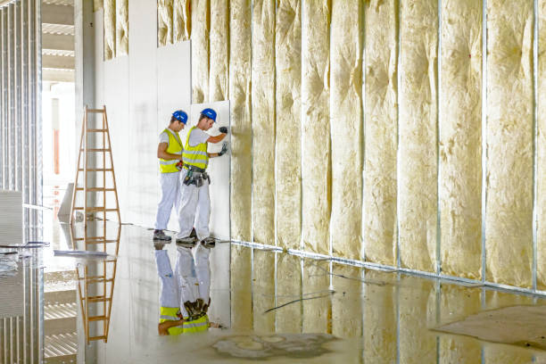 Best Crawl Space Insulation  in Weaverville, NC